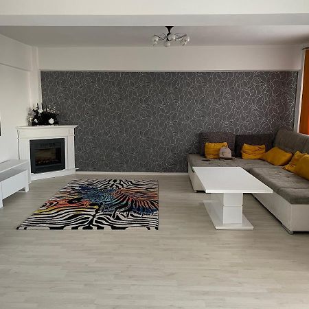 Panoramic M&M Apartment Suceava Esterno foto